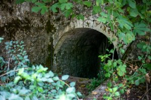 IMG_3234.jpg