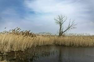 IMG_8864-Улучшено-NR.jpg