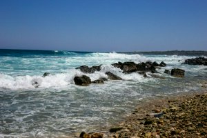 IMG_9849.jpg