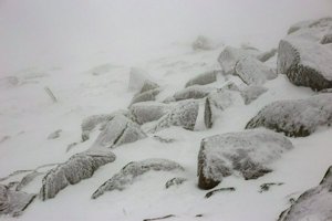 IMG_1390.jpg
