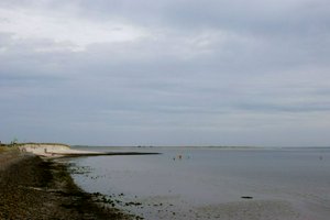 IMG_9828.jpg