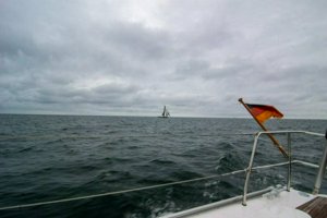 IMG_3986.jpg