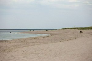 IMG_9915.jpg