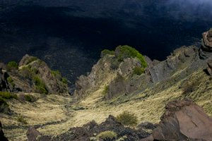 IMG_9449.jpg