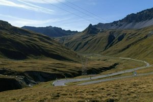 IMG_1879.jpg