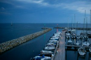 IMG_3903.jpg