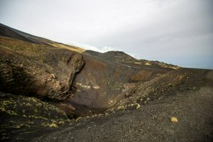 IMG_9603.jpg