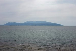 IMG_3306.jpg