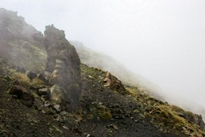 IMG_9467.jpg