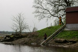 IMG_7425.jpg