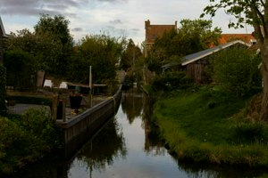 IMG_2346.jpg