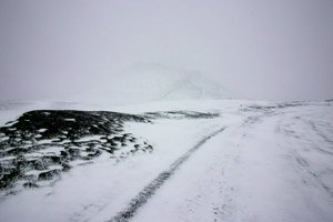 IMG_0183.jpg