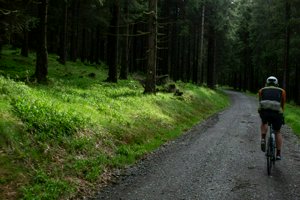 IMG_8619.jpg