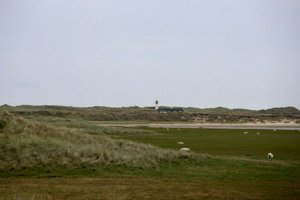 IMG_9867.jpg