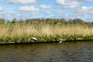 IMG_1231.jpg