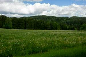 IMG_8569.jpg