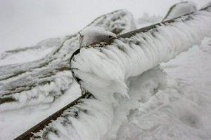 IMG_1370.jpg