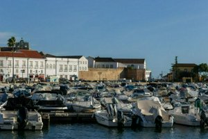 IMG_7050.jpg