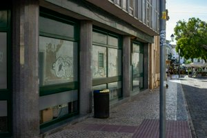 IMG_6982.jpg