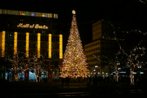 IMG_2000.jpg