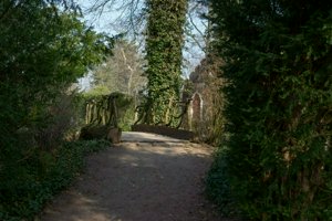 IMG_7357.jpg