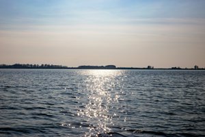 IMG_0115.jpg