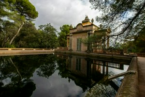 IMG_9153.jpg