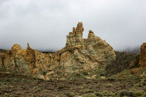 IMG_5731.jpg