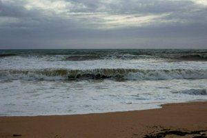 IMG_7863.jpg