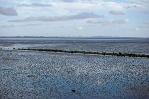 IMG_6844.jpg