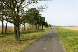 IMG_8843.jpg