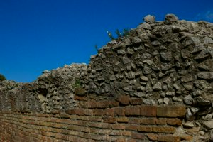 IMG_9111.jpg