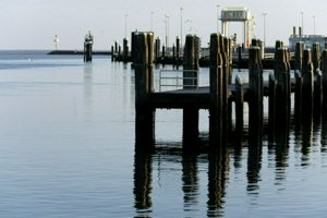 IMG_6393.jpg