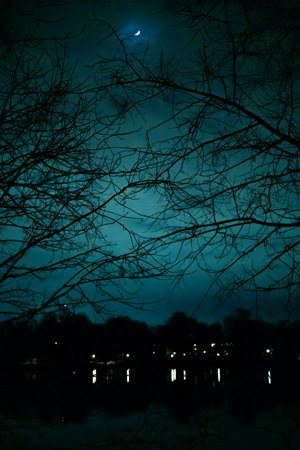 IMG_3602-Улучшено-NR.jpg