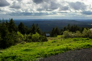 IMG_8639.jpg