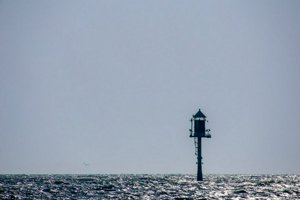 IMG_8818.jpg