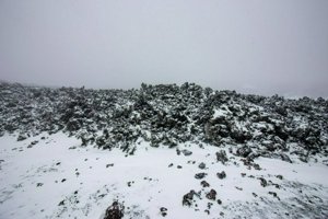 IMG_0169.jpg