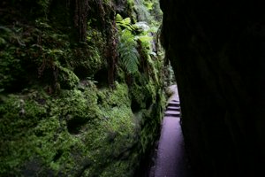 IMG_1745.jpg
