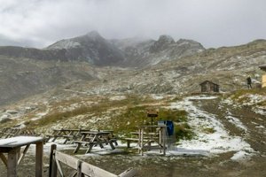 IMG_1179.jpg