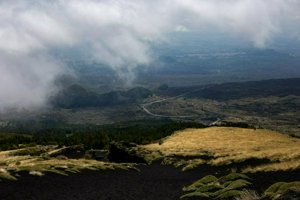 IMG_9359.jpg