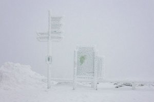 IMG_2846.jpg