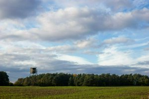 IMG_8470.jpg