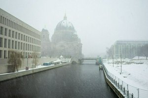 IMG_0323.jpg