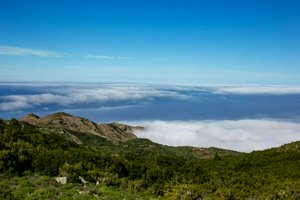 IMG_6933.jpg