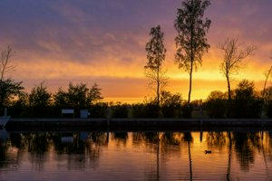 IMG_0171.jpg