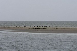IMG_7447.jpg