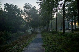 IMG_2041.jpg