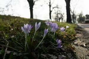 IMG_8570.jpg