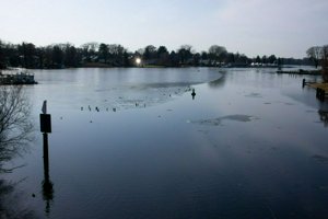 IMG_1181.jpg