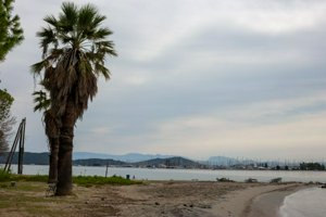 IMG_3269.jpg